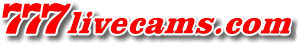 777livecams.com - Gemischte Shows / neue Sender