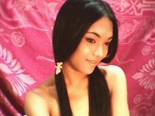 TransGirl4u - Alter: 25 / Jungfrau - Gr&ouml;&szlig;e: 

165 / schlank - Geschlecht: transsexuell - Ausrichtung: 

homosexuell - Haare: schwarz / mittellang - Piercing: 

keins - BH-Gr&ouml;&szlig;e:  - Hautfarbe: 

asiatisch - Augen: braun - Rasur: teilrasiert